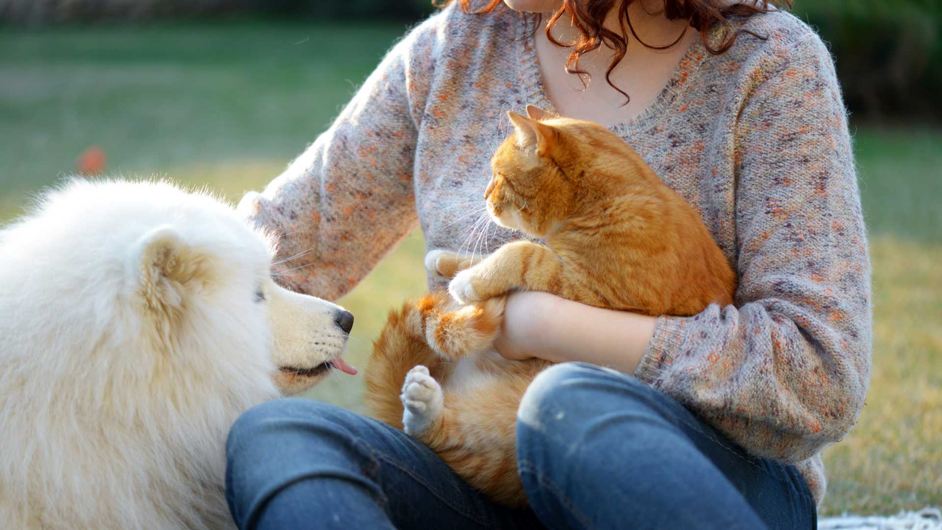 gioielli animali gatto cane
